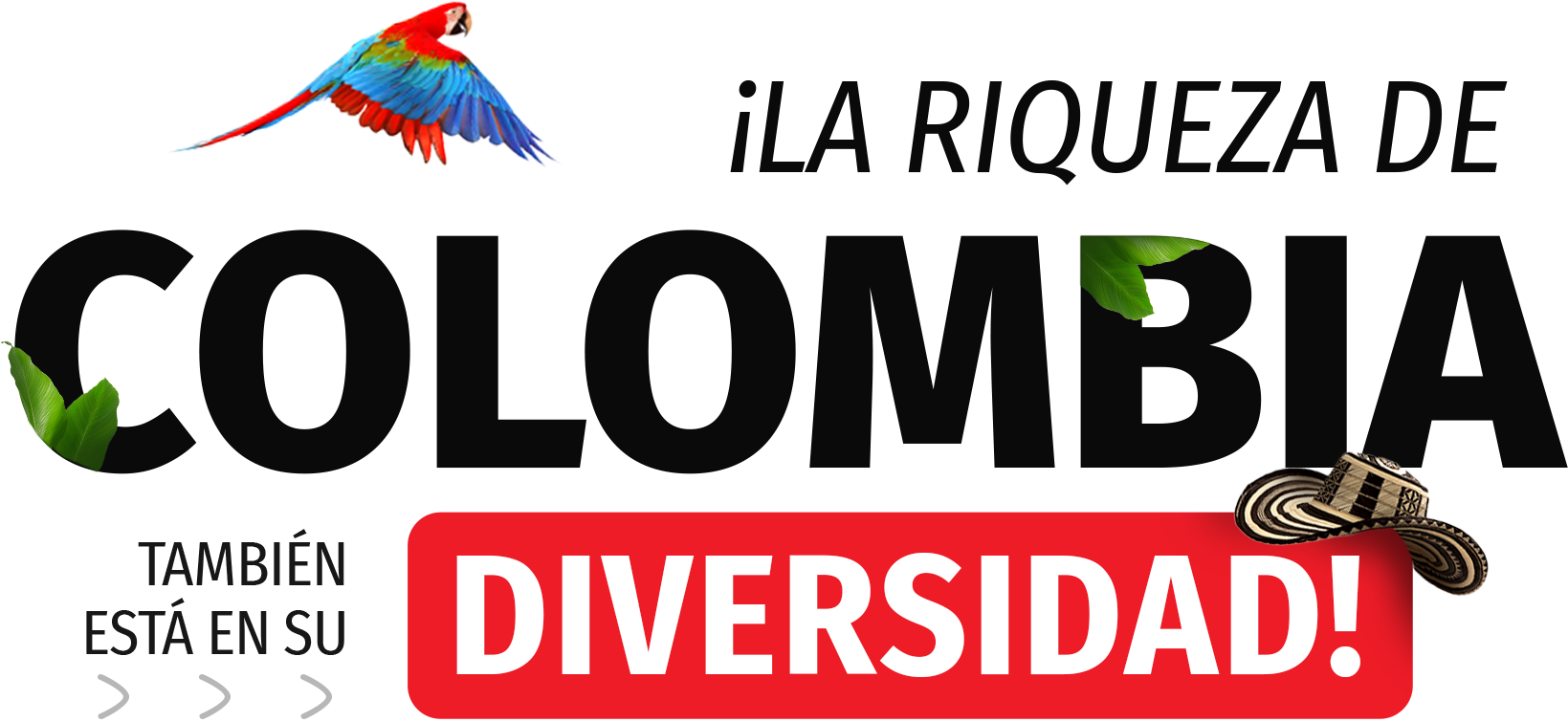 ¡La riqueza de Colombia también está en su diversidad!